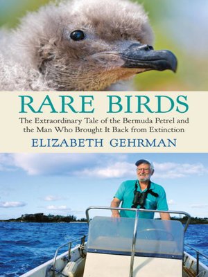 cover image of Rare Birds
